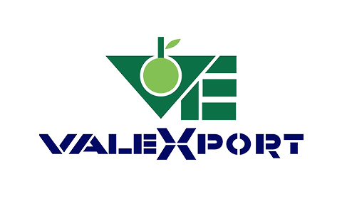 ValeXPort